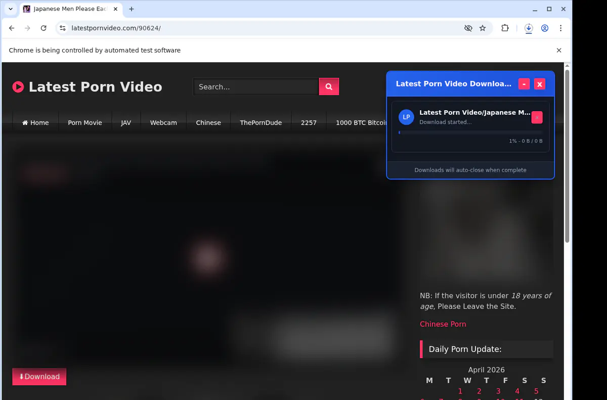 Latestpornvideo Video Downloader screenshot 2