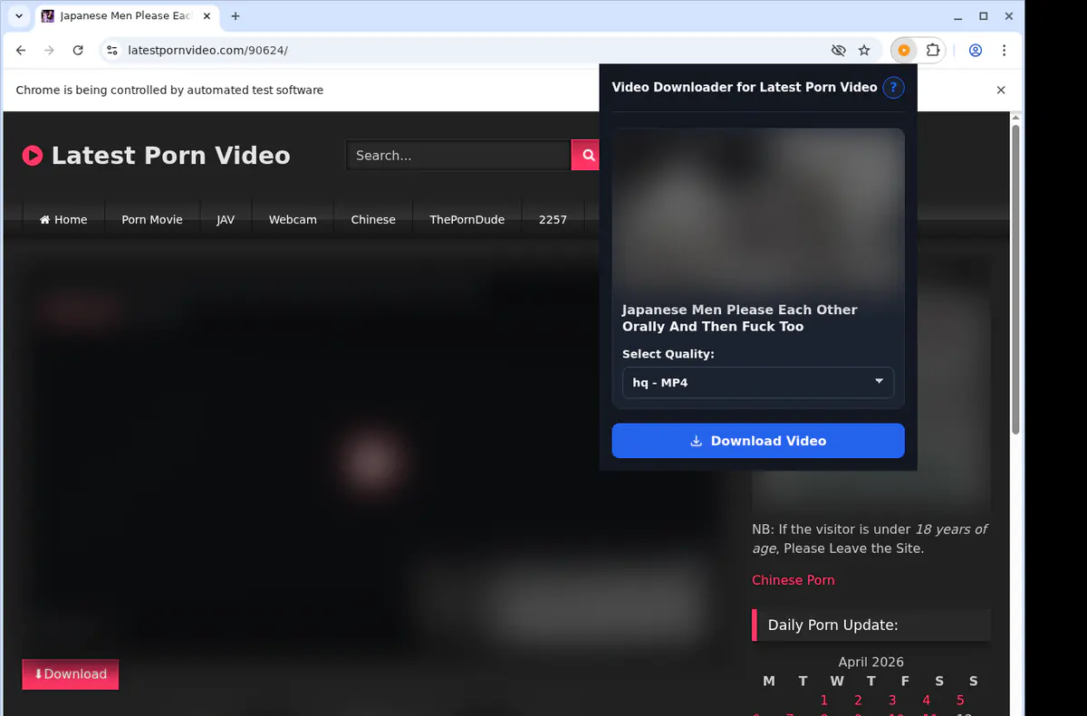Latestpornvideo Video Downloader screenshot 3